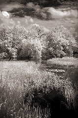 River View Near Kent, CT � Dave Hickey